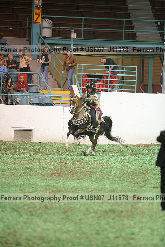 Proof Number usn07_j11578