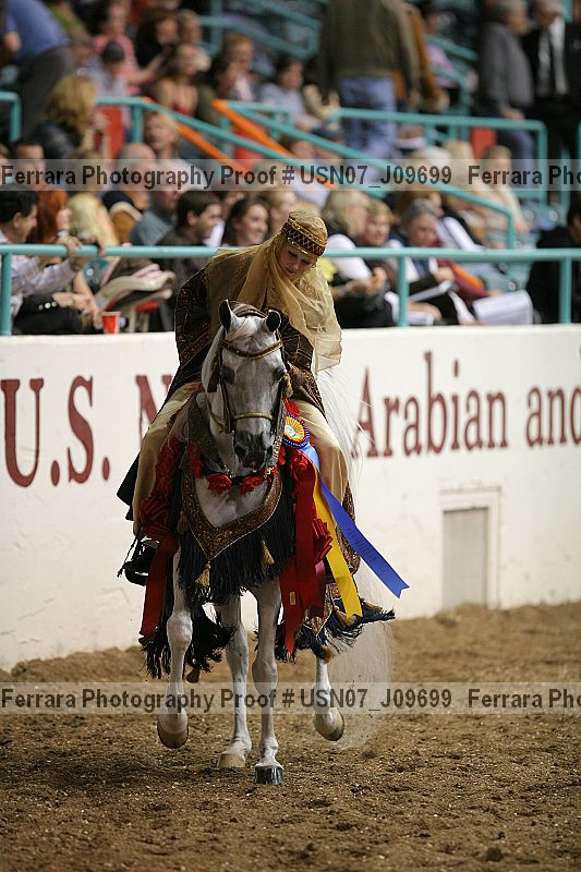 Proof Number usn07_j09699