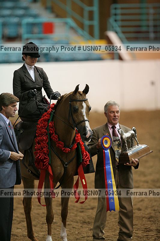 Proof Number usn07_05934