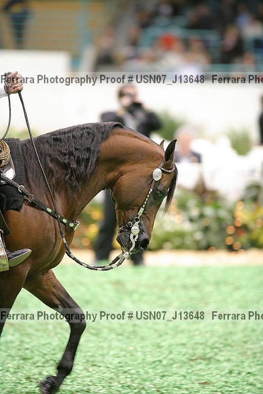 Proof Number usn07_j13648