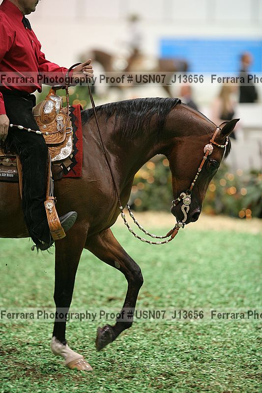Proof Number usn07_j13656