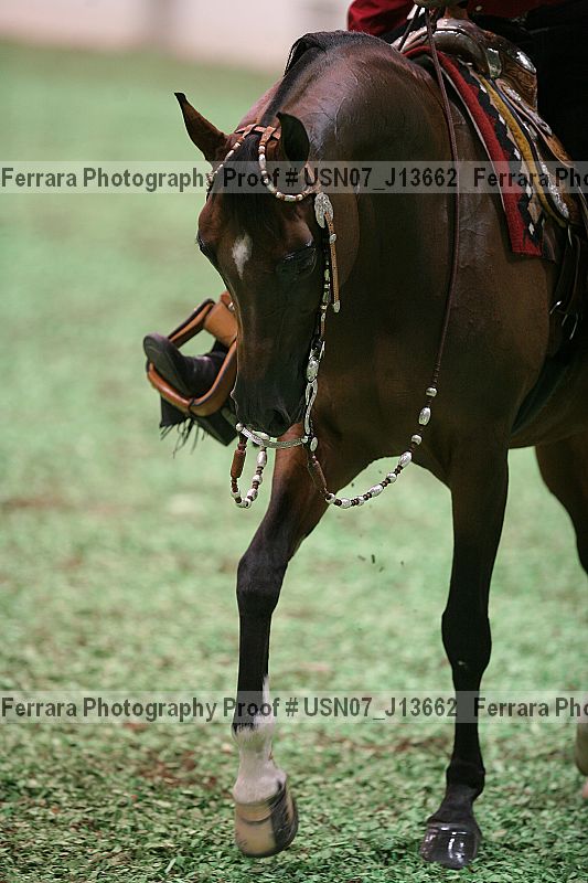 Proof Number usn07_j13662