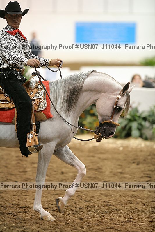 Proof Number usn07_j11044