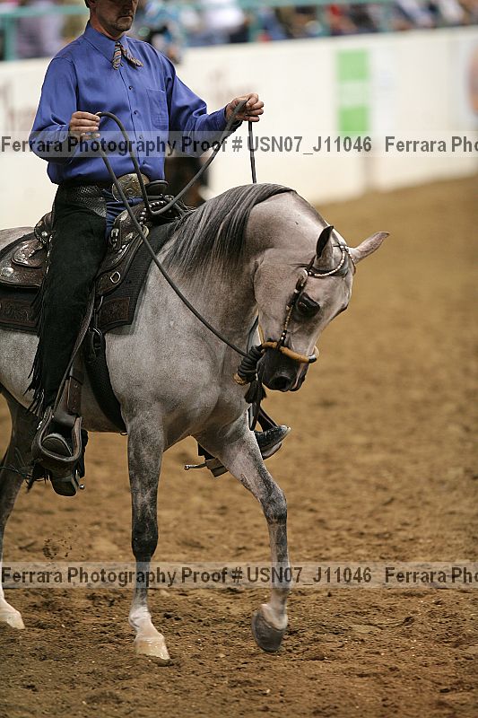 Proof Number usn07_j11046