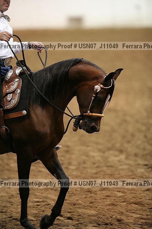 Proof Number usn07_j11049