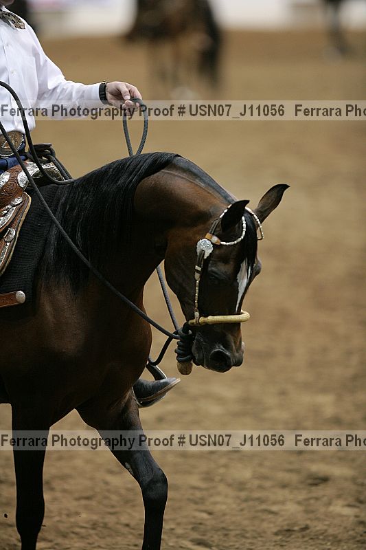 Proof Number usn07_j11056