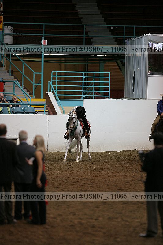 Proof Number usn07_j11065