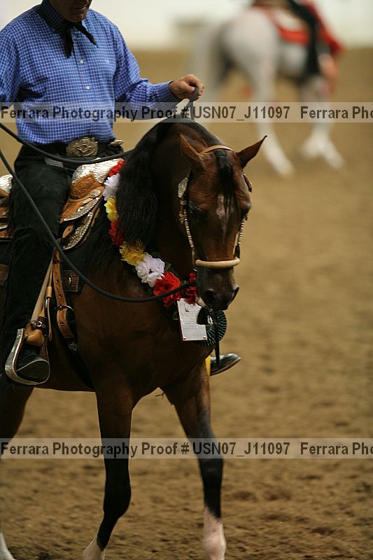 Proof Number usn07_j11097