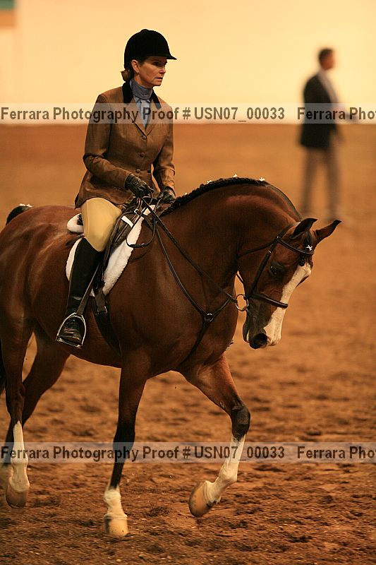 Proof Number usn07_00033
