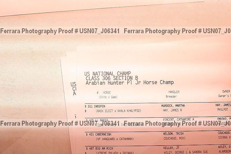 Proof Number usn07_j06341