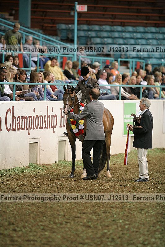 Proof Number usn07_j12513