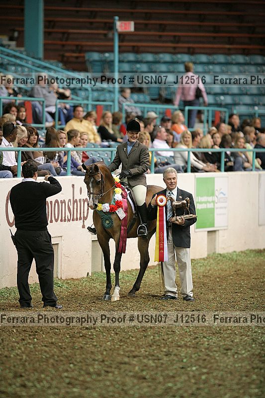Proof Number usn07_j12516
