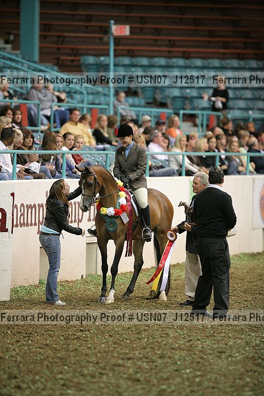 Proof Number usn07_j12517
