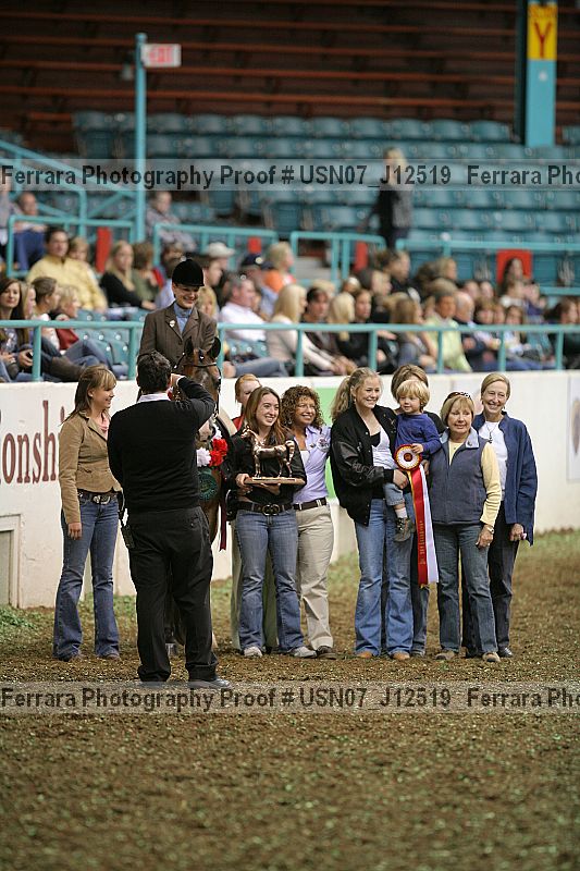 Proof Number usn07_j12519
