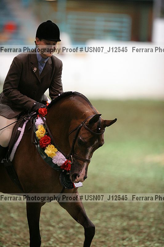 Proof Number usn07_j12545