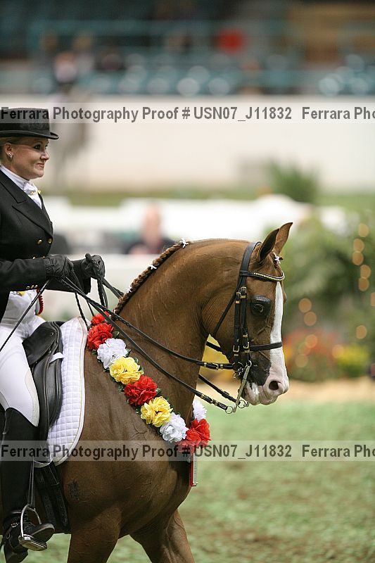 Proof Number usn07_j11832