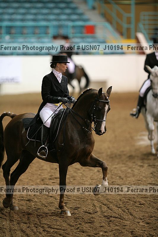 Proof Number usn07_j10194