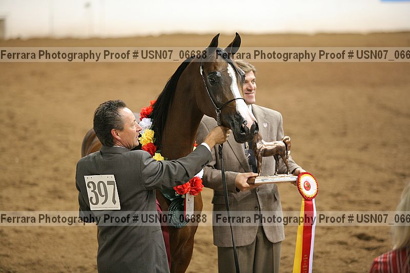 Proof Number usn07_06688