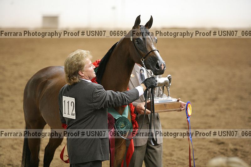 Proof Number usn07_06699