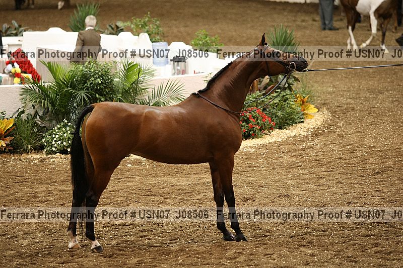 Proof Number usn07_j08506