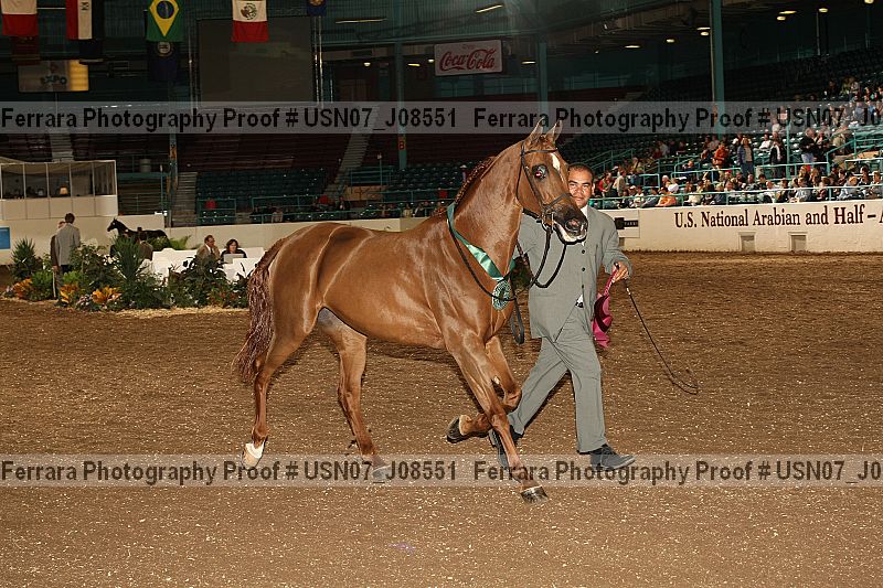 Proof Number usn07_j08551