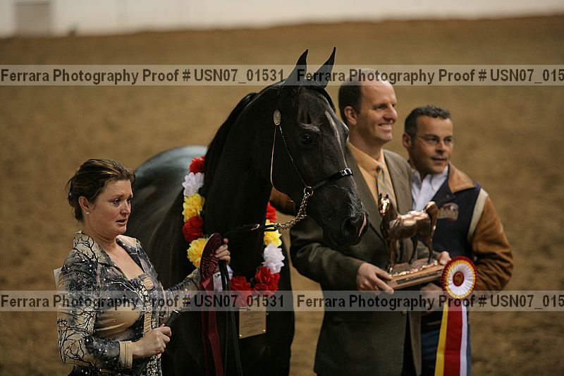 Proof Number usn07_01531