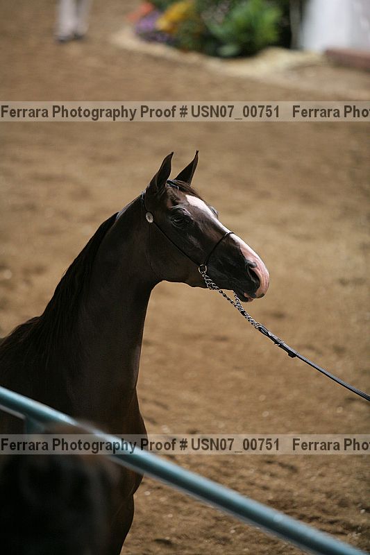 Proof Number usn07_00751