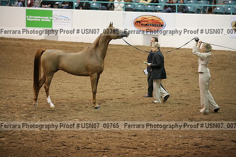 Proof Number usn07_00765
