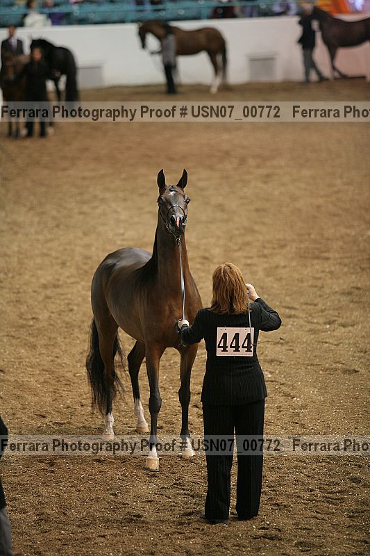 Proof Number usn07_00772