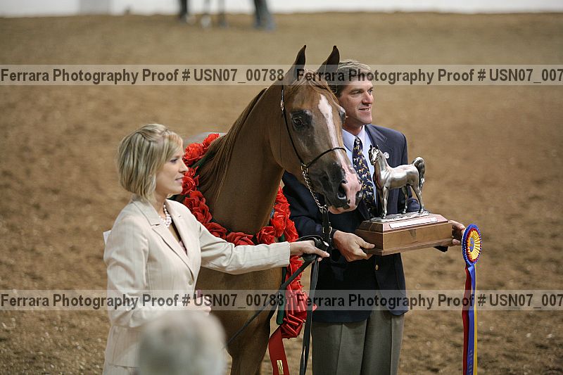 Proof Number usn07_00788