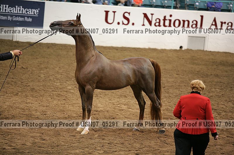 Proof Number usn07_05291