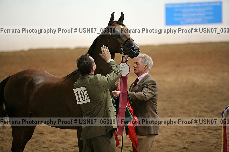 Proof Number usn07_05309