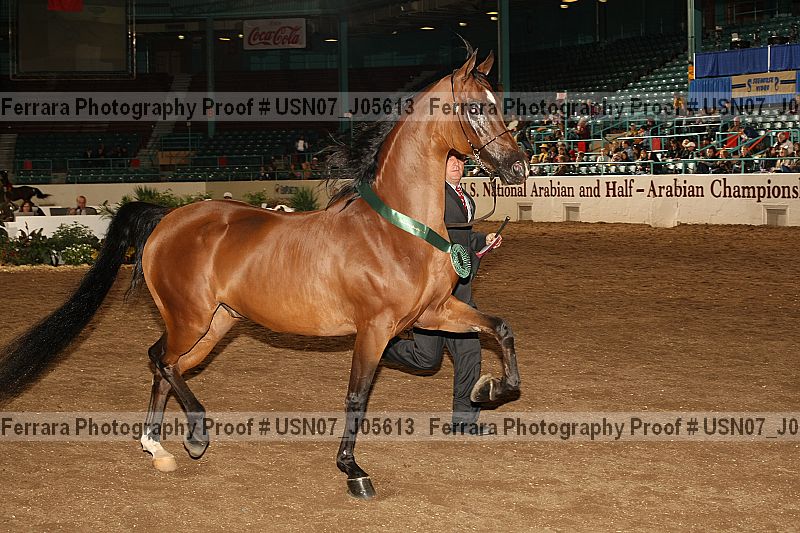 Proof Number usn07_j05613
