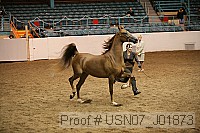 usn07_j01873 thumbnail
