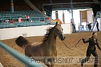 usn07_j01876 thumbnail