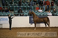 usn07_j01891 thumbnail