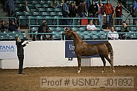 usn07_j01892 thumbnail