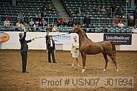 usn07_j01894 thumbnail