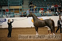 usn07_j01903 thumbnail