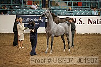 usn07_j01907 thumbnail
