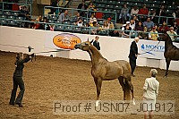 usn07_j01912 thumbnail