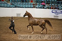 usn07_j01913 thumbnail