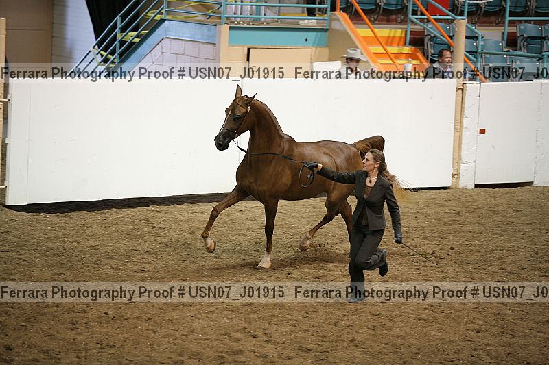 Proof Number usn07_j01915