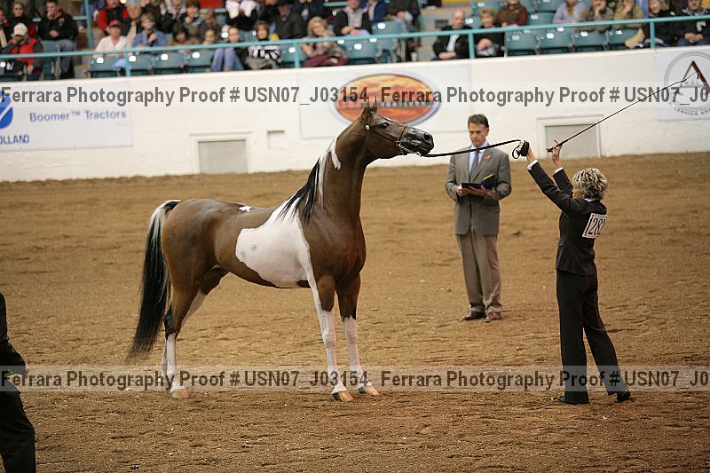 Proof Number usn07_j03154