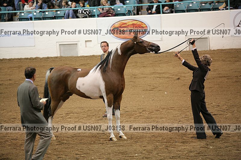 Proof Number usn07_j03158