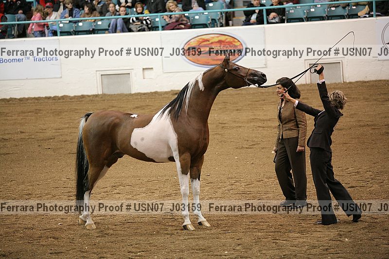 Proof Number usn07_j03159