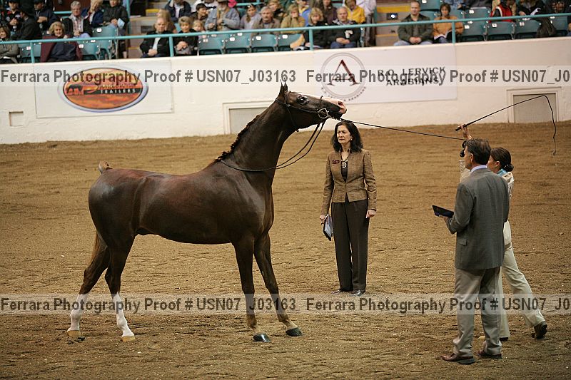 Proof Number usn07_j03163