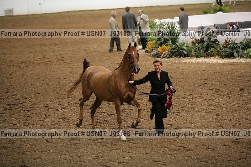 Proof Number usn07_j03188