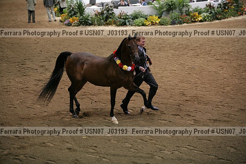 Proof Number usn07_j03193
