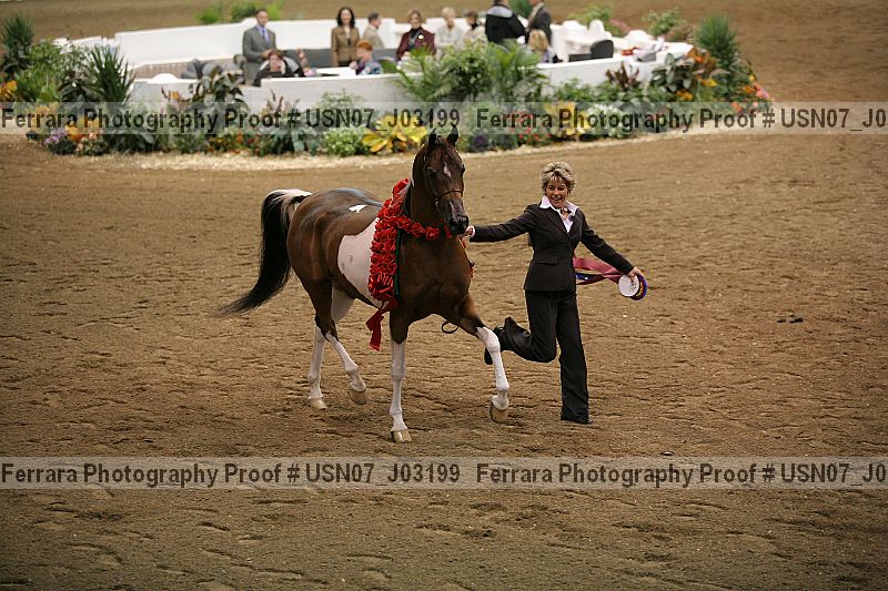 Proof Number usn07_j03199